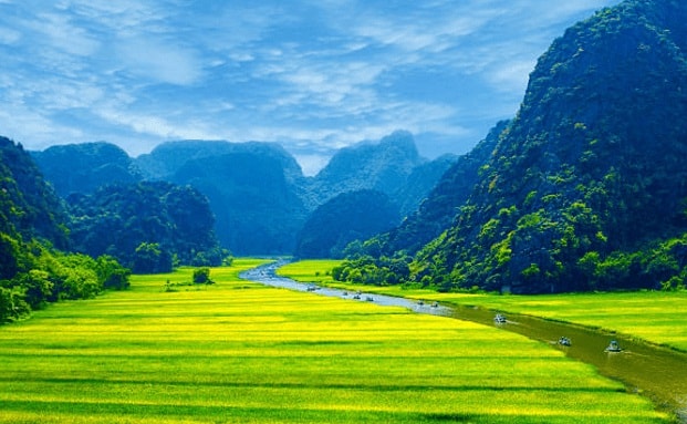 20 hình ảnh phong cảnh Việt Nam đẹp như tranh vẽ AmiA