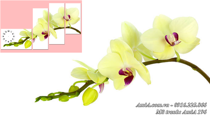 Hình ảnh tranh hoa lan vàng đẹp nở phú quý AmiA 196