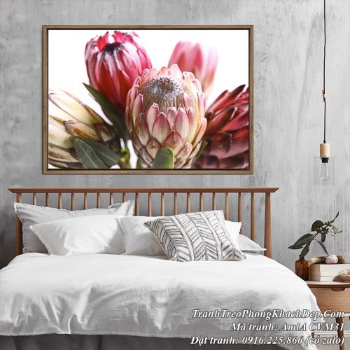 Tranh canvas búp hoa treo trang trí phòng ngủ đẹp Amia CVM31