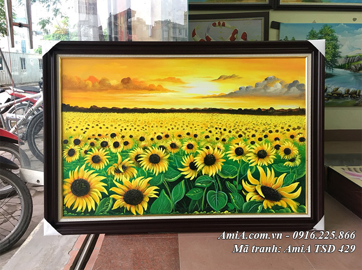 Tranh chụp tại cửa hàng AmiA bức sơn dầu cánh đồng hoa hướng dương