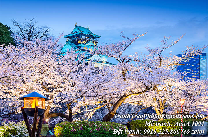 Tranh phong cảnh hoa anh đào Nhật Bản AmiA 1091