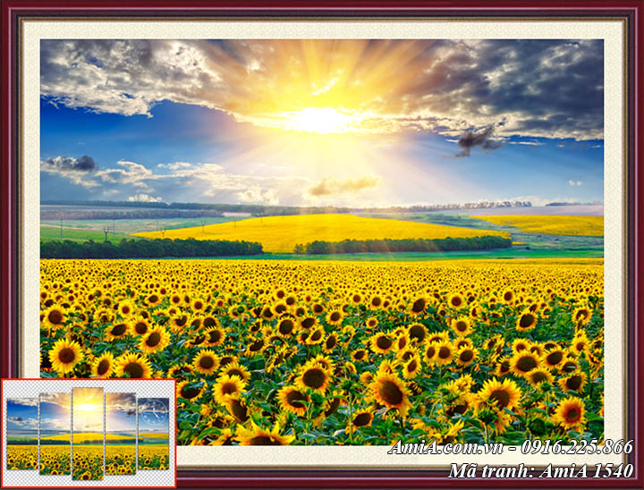 Tranh phong cảnh mặt trời mọc trên đồng hoa hướng dương AmiA 1540